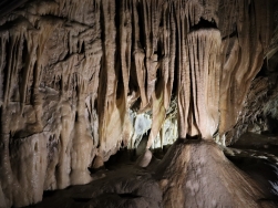 jaskinia Niedźwiedzia Kletno - nacieki