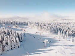 Zieleniec Ski Arena