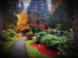 Arboretum Lądek Zdrój