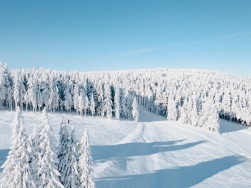 Zieleniec Ski Arena