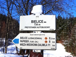 Bielice