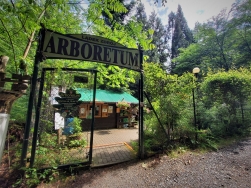 Arboretum Lądek Zdrój