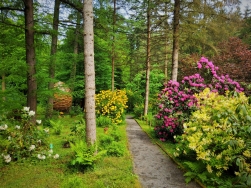 Arboretum Lądek Zdrój