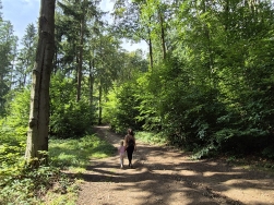 Kłodzka Góra