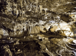 jaskinia Niedźwiedzia Kletno