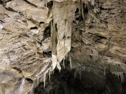 jaskinia Niedźwiedzia Kletno - nacieki, kurtyna