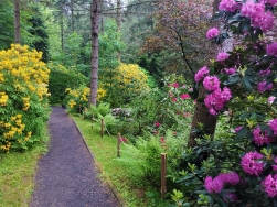 Arboretum Lądek Zdrój