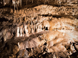 jaskinia Niedźwiedzia Kletno