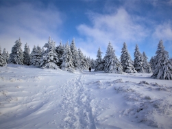 Śnieżnik Zimą 
