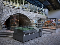 jaskinia Niedźwiedzia Kletno - hol główny