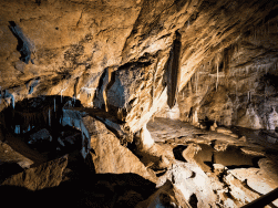 jaskinia Niedźwiedzia Kletno