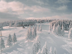 Zieleniec Ski Arena