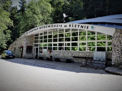 jaskinia Niedźwiedzia Kletno - wejście główne