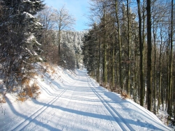 Trasy narciarstwa biegowego Stronie Śląskie
