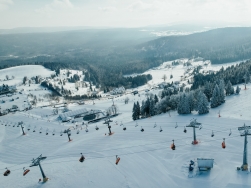 Zieleniec Spot Arena