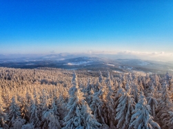 Borówkowa Góra