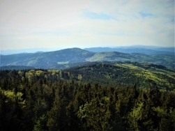 Borówkowa Góra