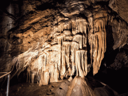 jaskinia Niedźwiedzia Kletno