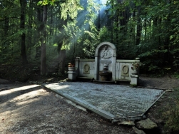 Arboretum Lądek Zdrój