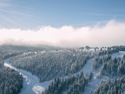 Zieleniec Ski Arena