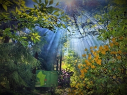 Arboretum Lądek Zdrój